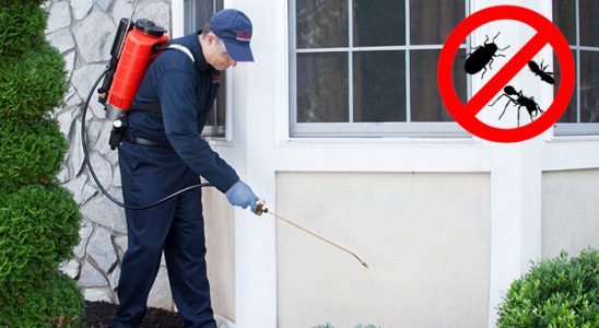 Batman Böcek İlaçlama böcek ilaçlama ve haşere kontrolü — ilaclama-tr.com